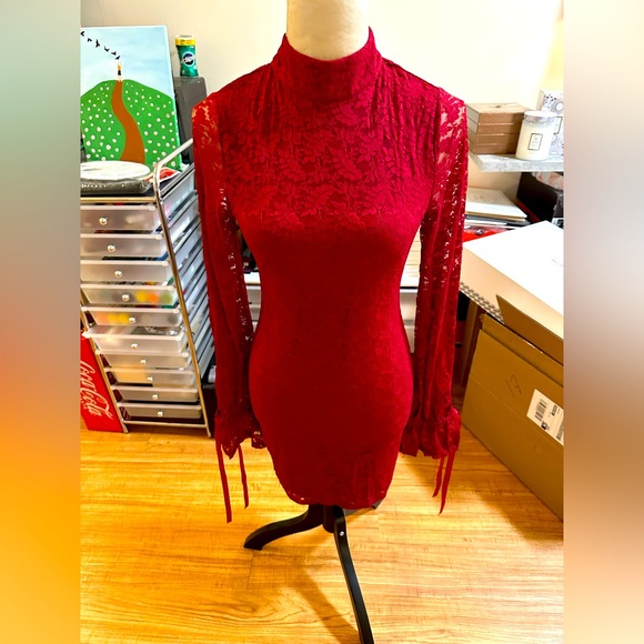 Lovers & Friends Red Lace Mini Dress - Picture 1 of 9